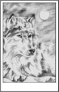 The Guardian